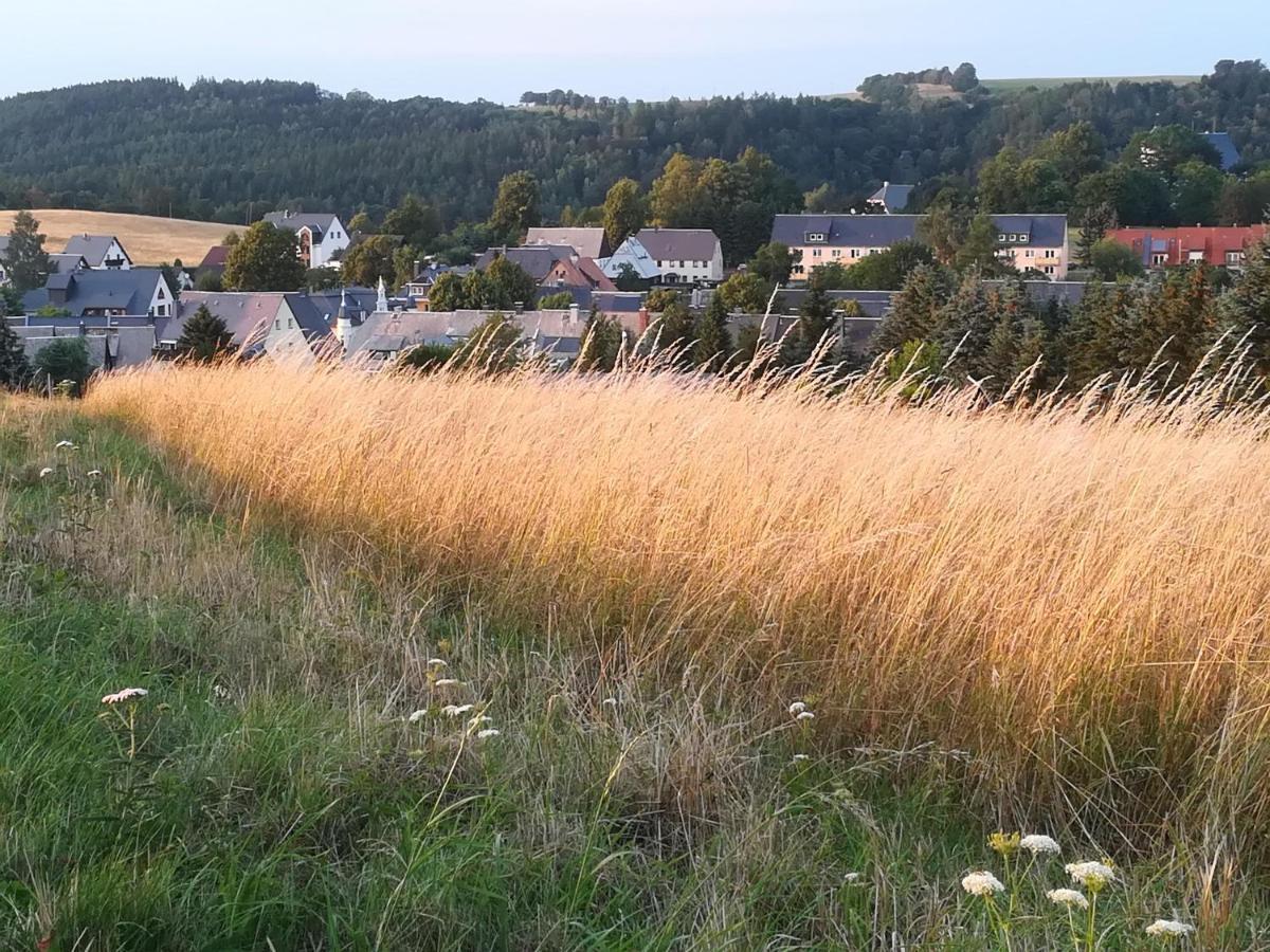 Ferienwohnung Rauscher Altenberg Exterior foto